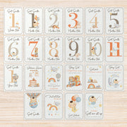 Personalised Baby Milestone Cards | Monthly Milestone Cards For newborn | Newborn Birth Gifts