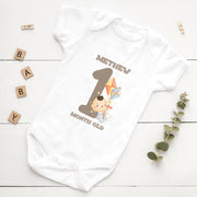Personalised Monthly Milestone Bodysuit Set | Custom Name Baby Vest 1-12 Months | Baby Shower Gift