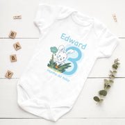 Personalised Bunny Monthly Milestone Bodysuit | Blue & Pink Custom Name Baby Grows Set 1-12 Months